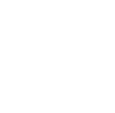 Smart Score Silver